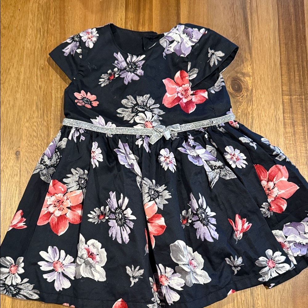 Carter's Black Dress with Purple and Red Floral Design